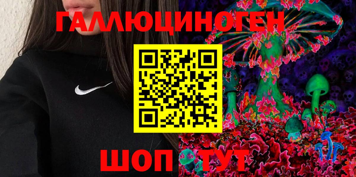 Псилоцибиновые грибы GOLDEN TEACHER Ачхой-Мартан