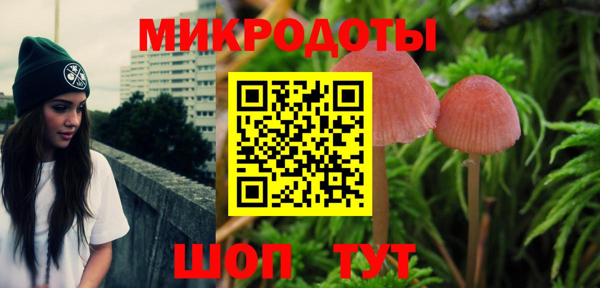 Псилоцибиновые грибы MAGIC MUSHROOMS  Галлюциногенные грибы Magic Shrooms  Вход с VPN  Ачхой-Мартан 